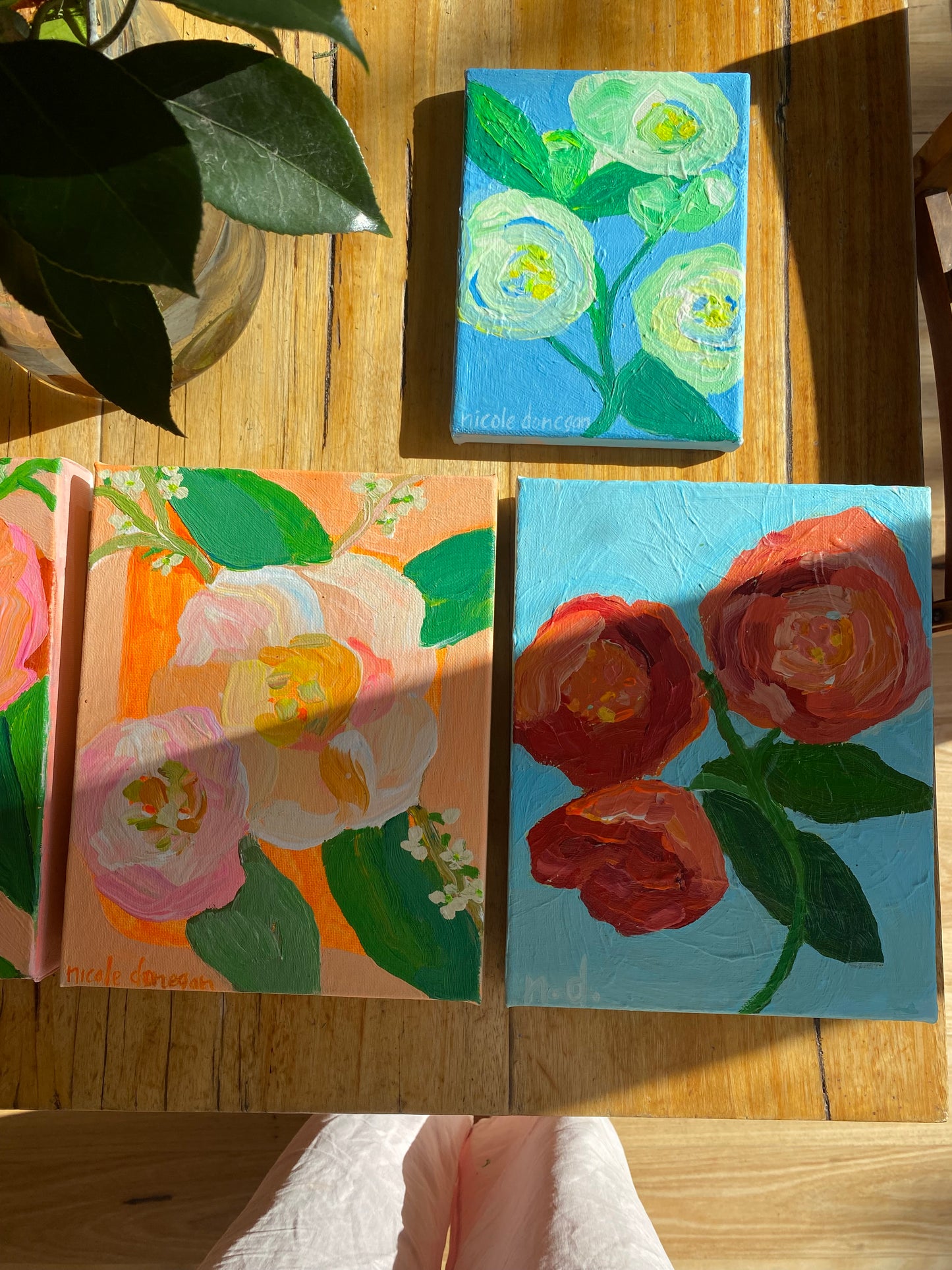 camellia on blue
